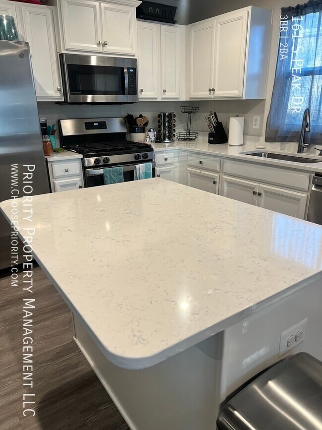 Contemporary Single Story Duplex Mcgaheysv... 161 S Peak Dr