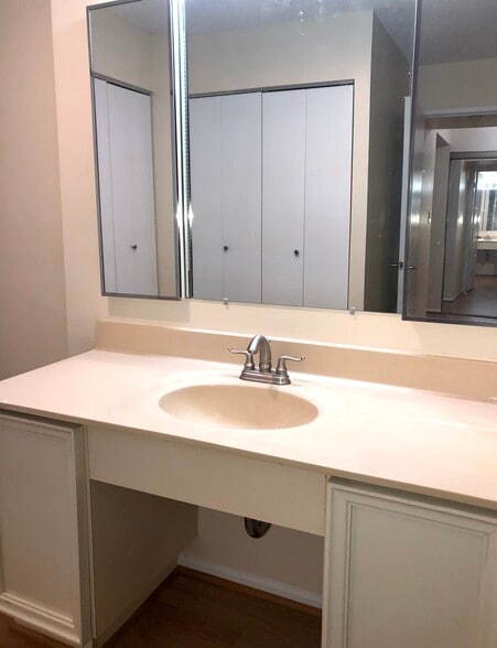 Main BR Vanity Sink - 15115 Interlachen Dr