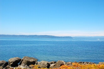 Building Photo - West Seattle Waterfront Condominium ~ West...
