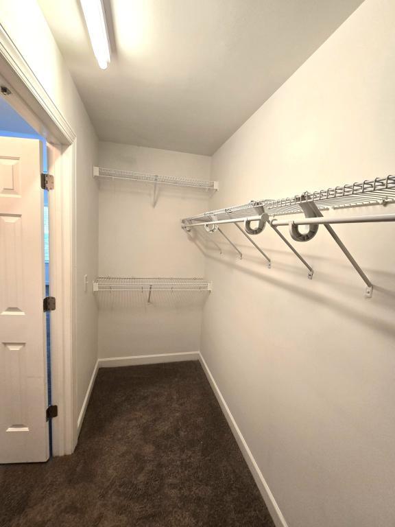 Building Photo - 4808 Landover Keep Pl