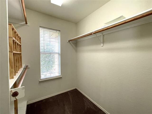 Building Photo - 4316 Cutter Springs Ct