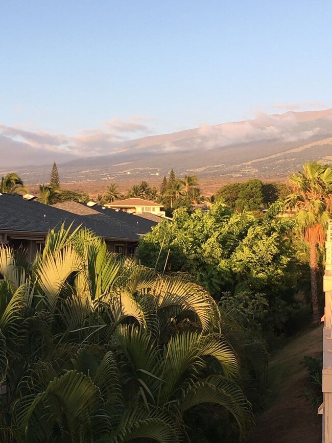 Building Photo - Recently Updated Top Floor Kihei Shores Un...