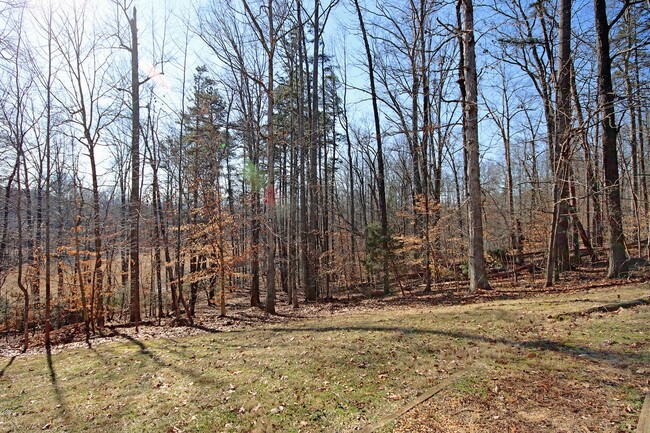 Building Photo - Pet-Friendly N.Albemarle Home on Over 2.5 ...