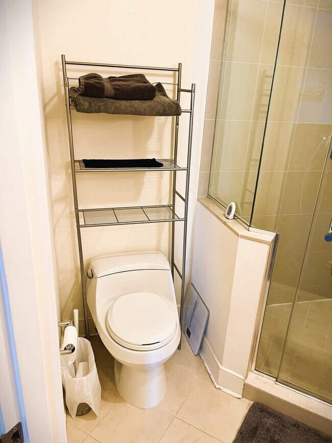 Toilet - 675 President St