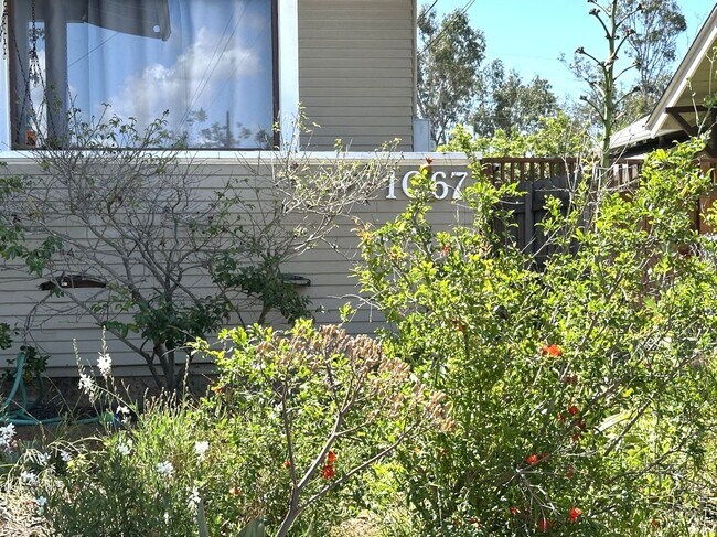 Building Photo - University Heights -Huge 1 Bedroom with Bonus Room/Bedroom and AC in Charming Vintage Building