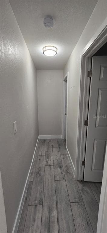 Building Photo - 3722 Rosemary Dr