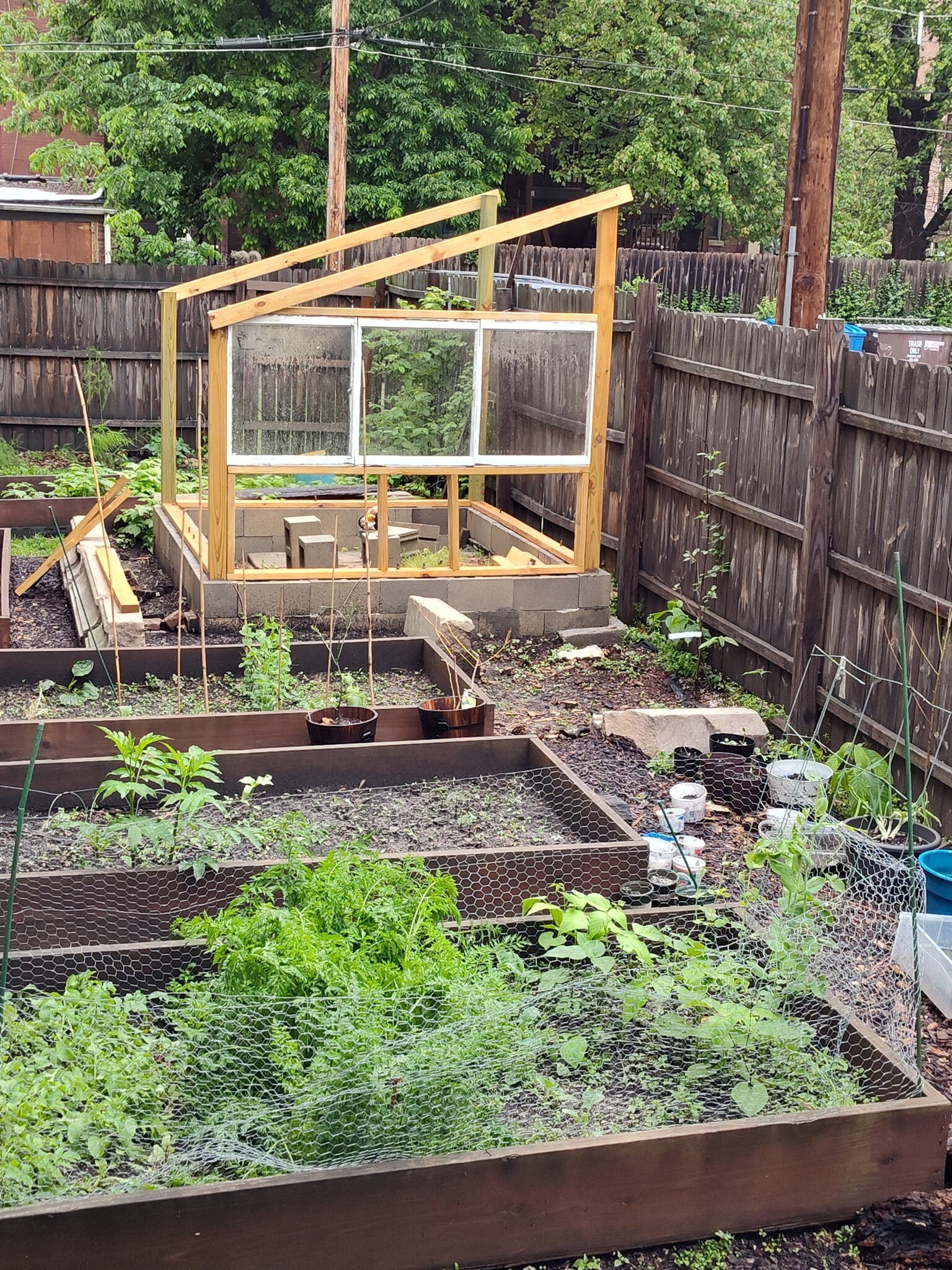 Gardening bed for growing your own vegetables or flowers - 1723 Nicholson Pl