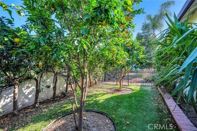 Building Photo - 6119 Tampa Ave