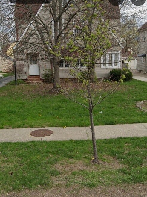 Building Photo - 18523 Chagrin Blvd