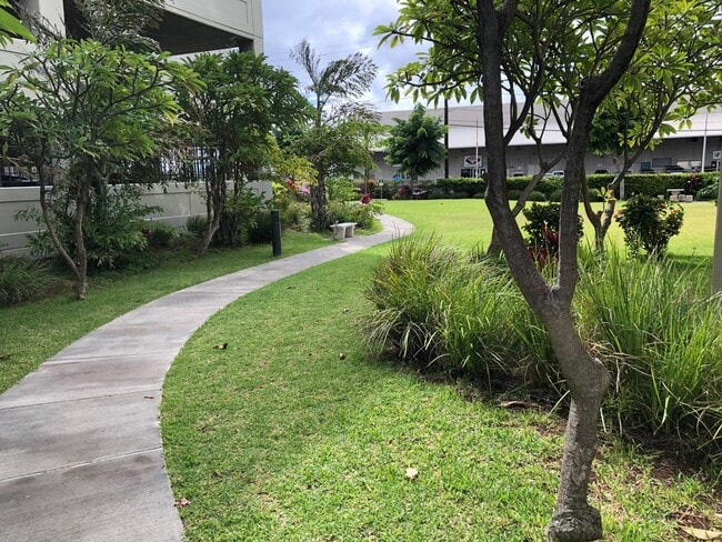 Building Photo - Breathtaking mountain view, 1 bdrm, 1 bath...