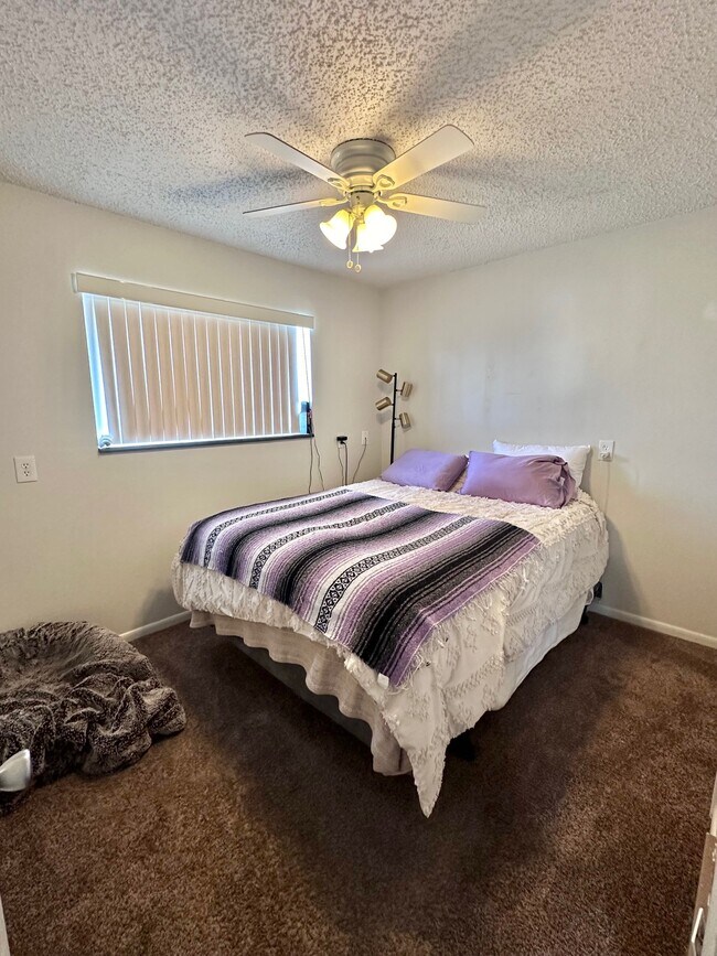 Building Photo - 1600 Banyan Dr