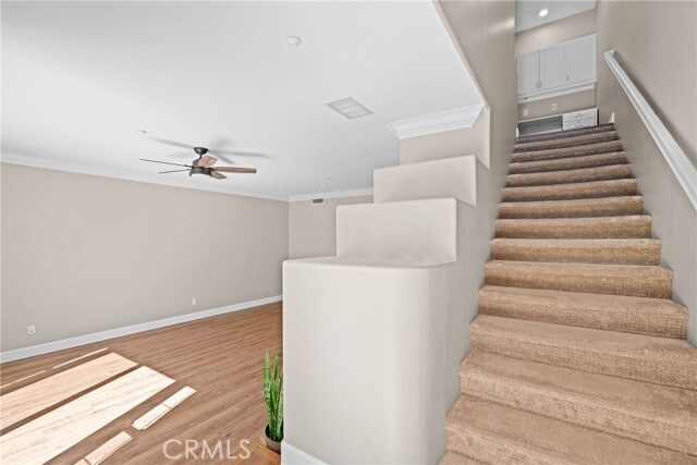 Building Photo - 12 Vinca Ct