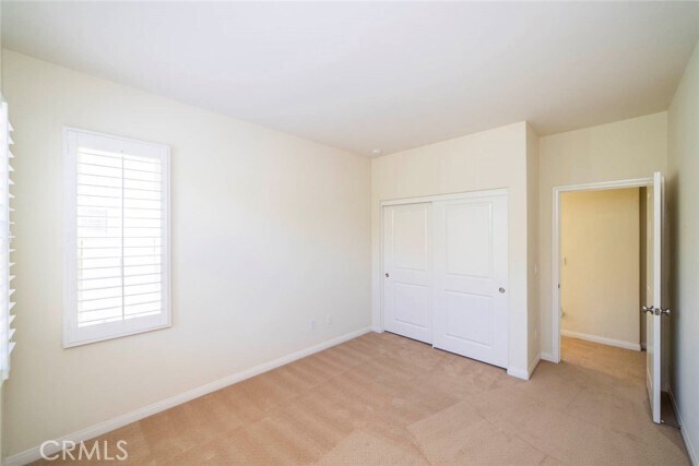Building Photo - 33 Bromeliad