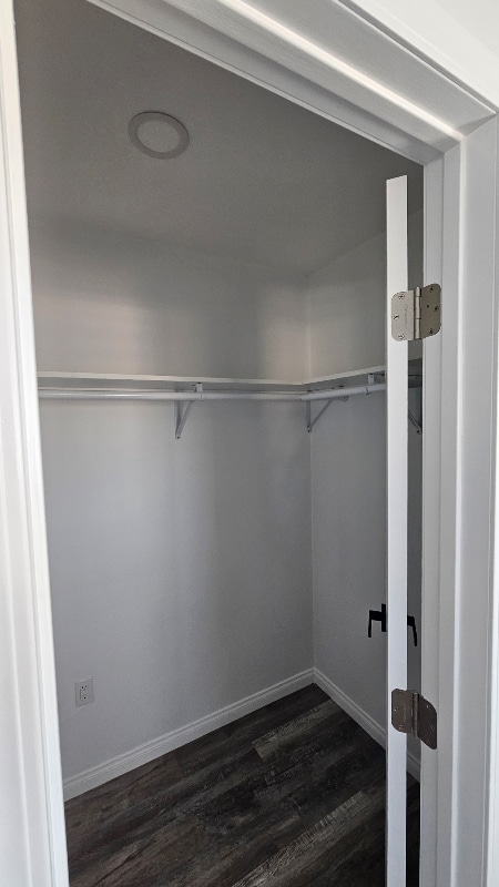 Building Photo - 5173 Palm St