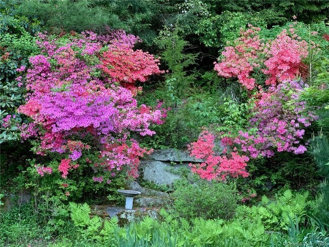 Building Photo - 117 Tobys Ln