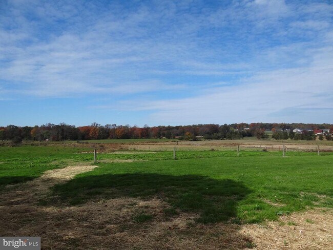 Building Photo - 165 Ammon Rd