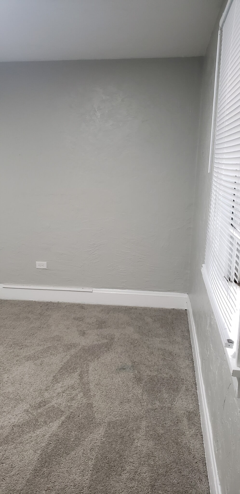 Building Photo - 535 Shelbourne Ave