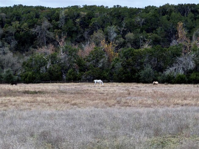 Building Photo - 1441 Gatlin Creek Rd