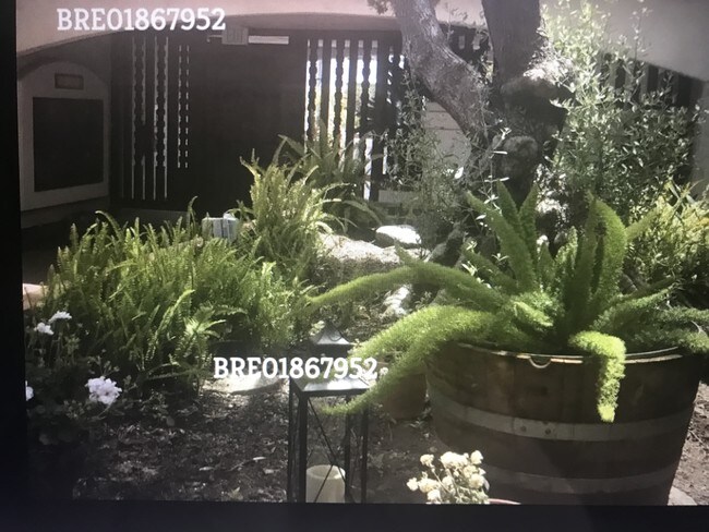 Building Photo - Weddington Courtyard