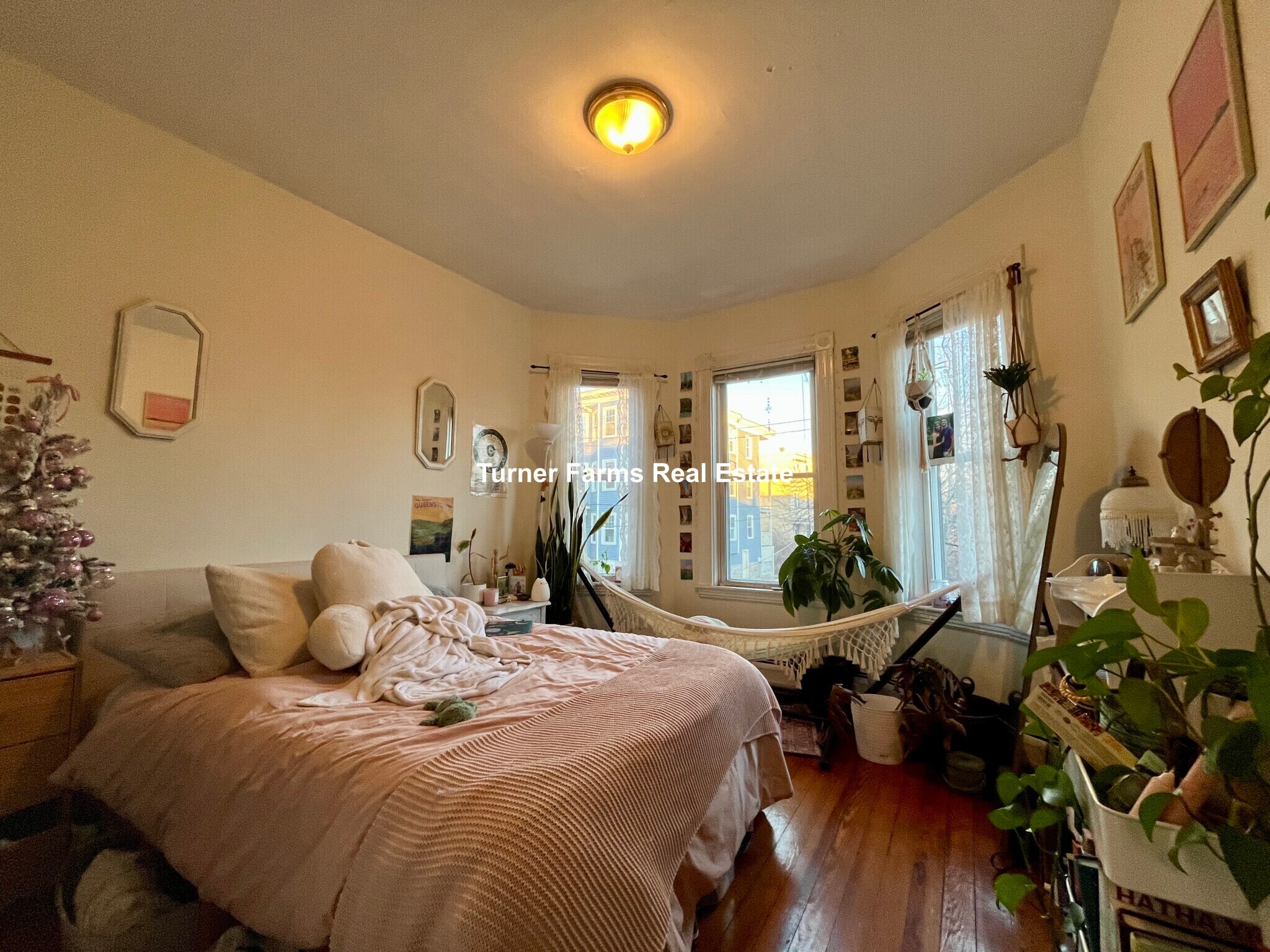 Building Photo - 12 Bucknam St