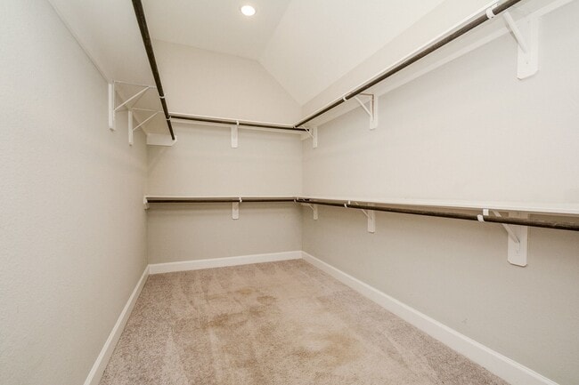 Building Photo - 2902 Tanager Trace