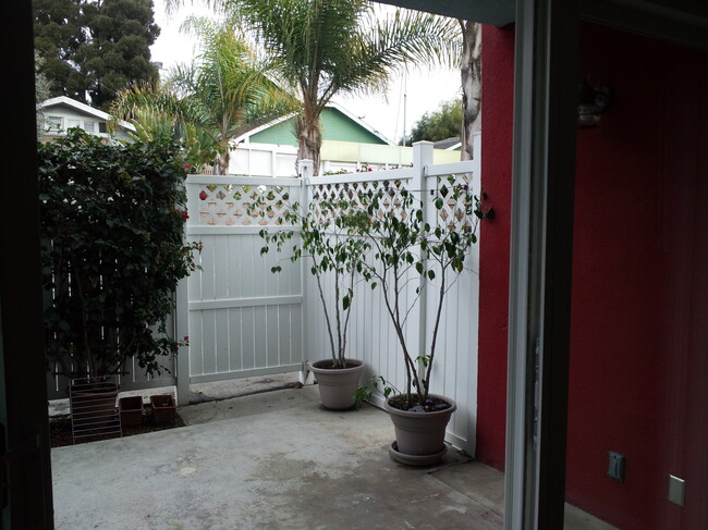 back patio - 2639 6th St