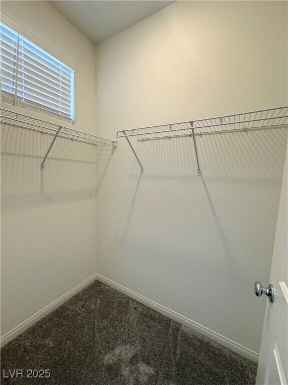 Building Photo - 1570 Crowned Eagle St