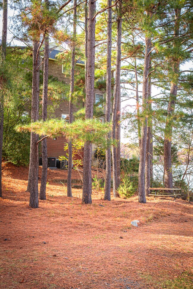 Building Photo - 9808 Emerald Point Dr