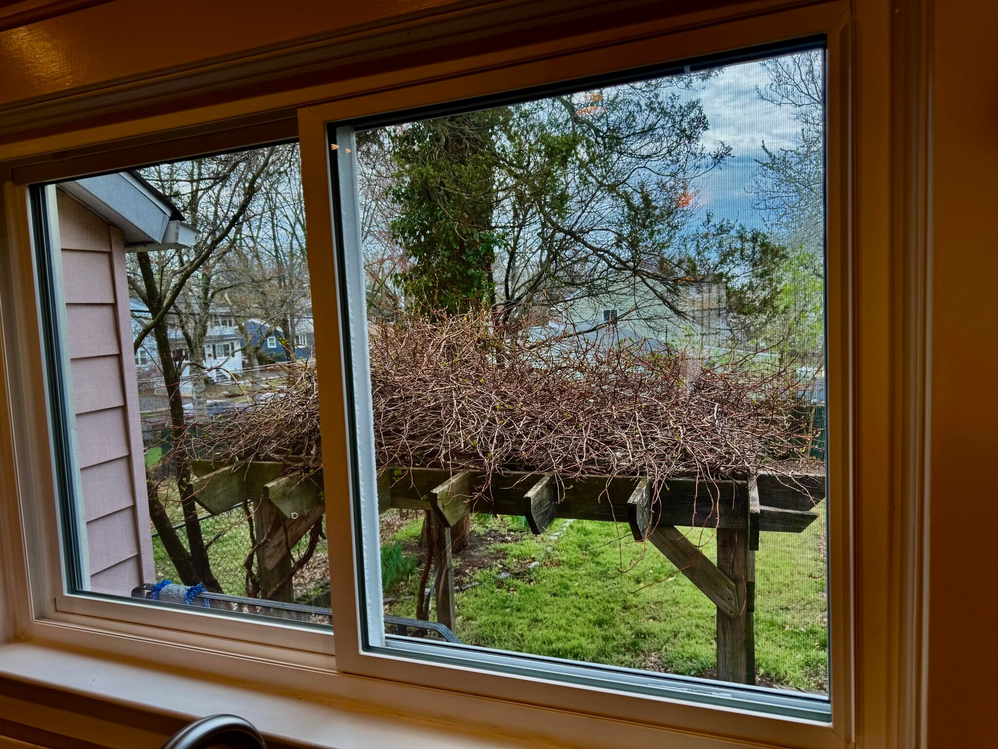 Building Photo - 612 Magnolia St