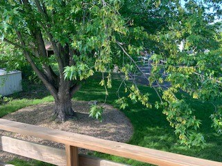 Building Photo - 1058 80th Ave N