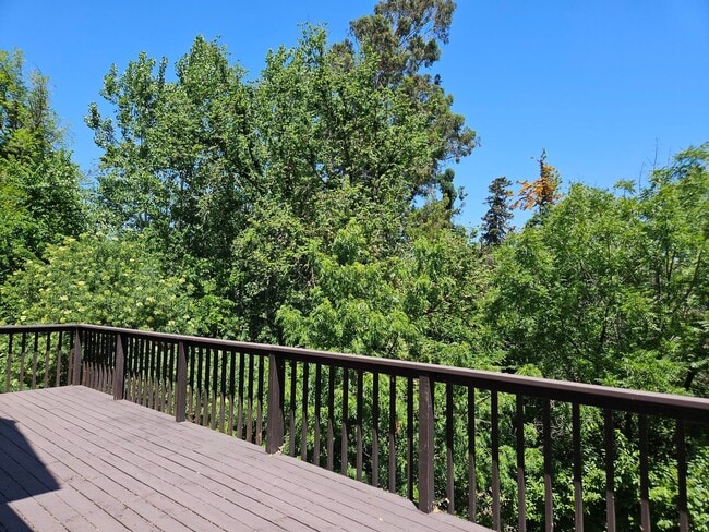 Building Photo - Stunning 4 Bed 3 Bath Naglee Park Home Nes...