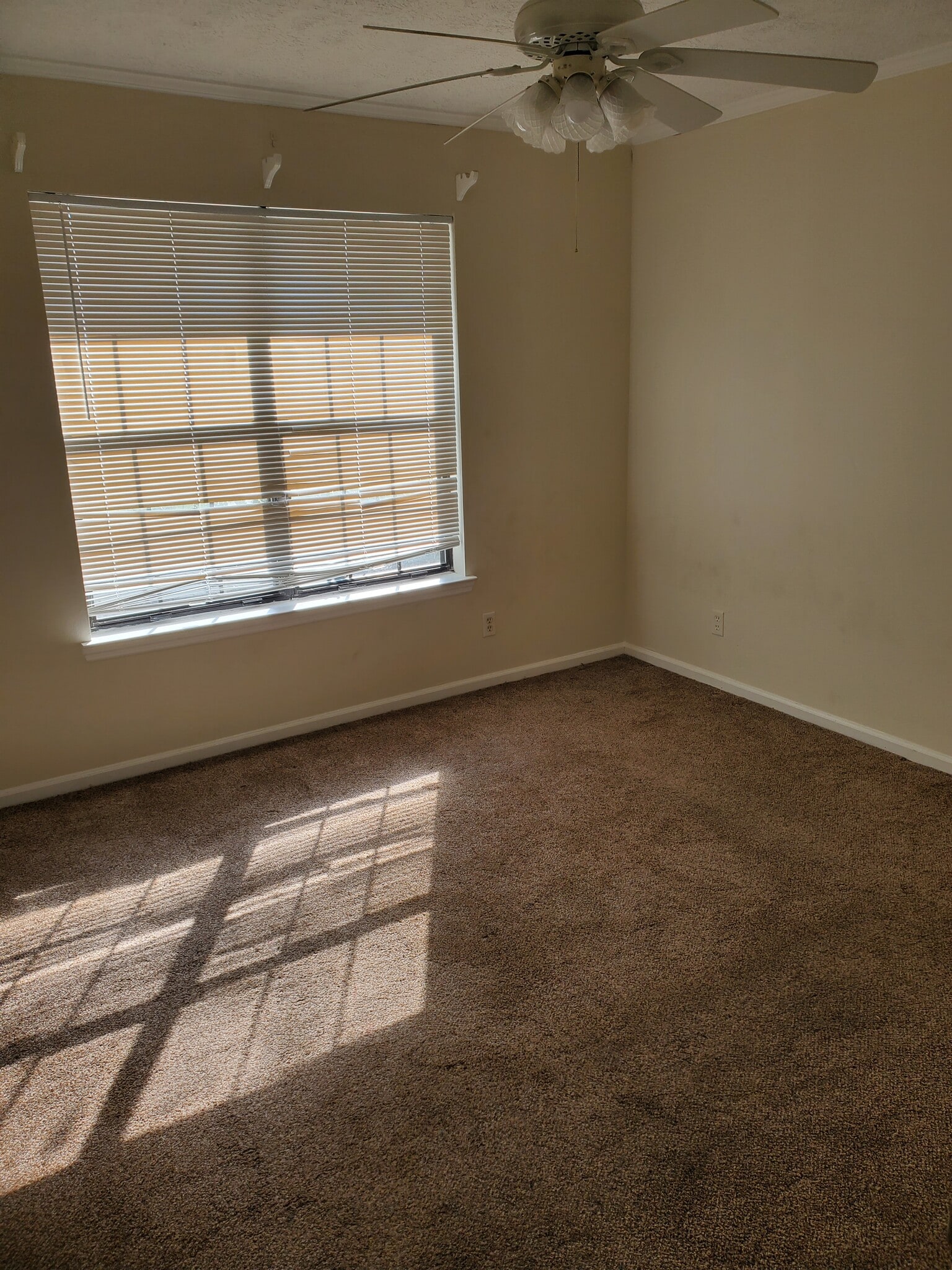 Building Photo - 15 Peach Row