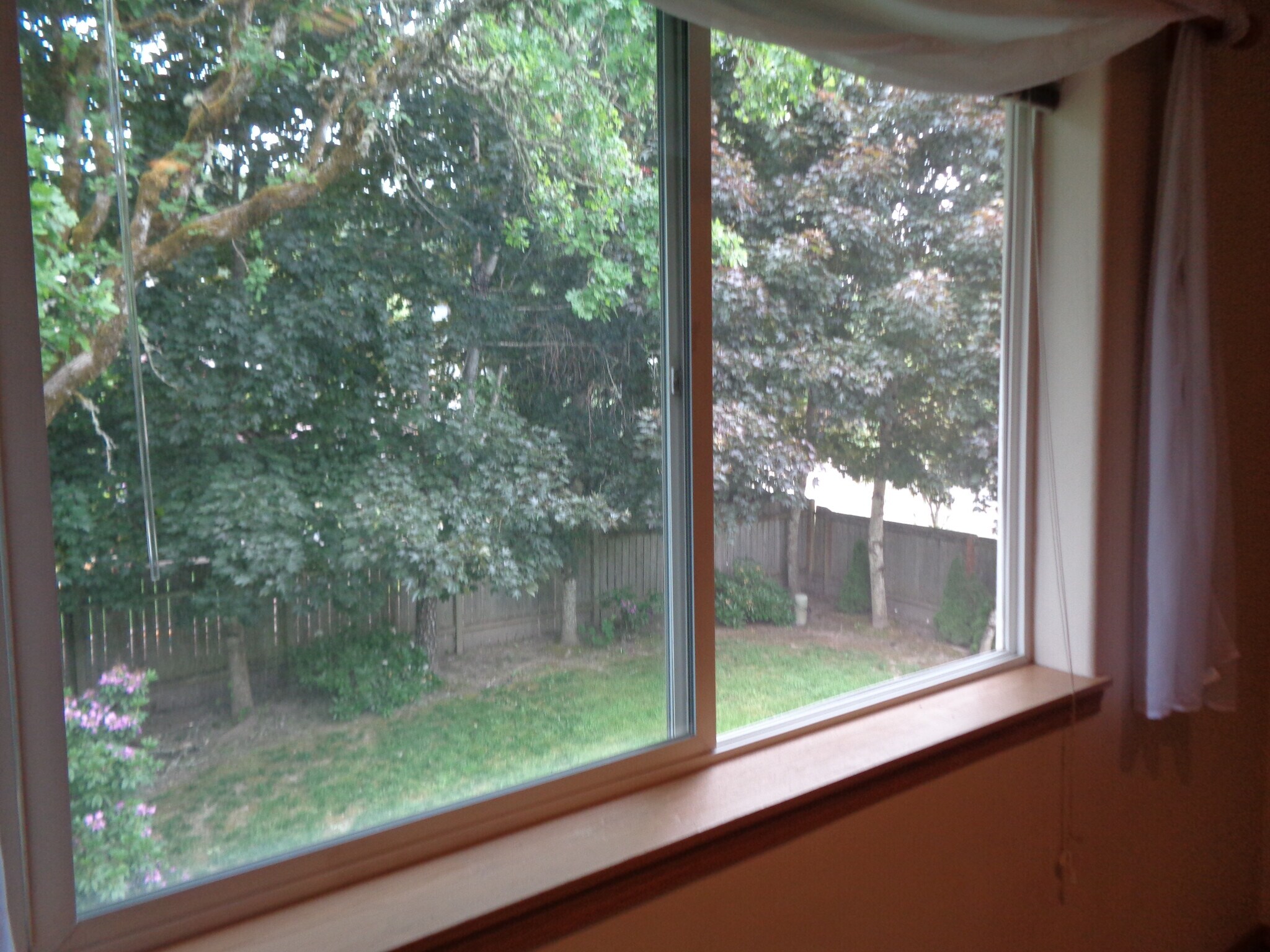 View from 2nd Bedroom - 17612 SW Bany Rd