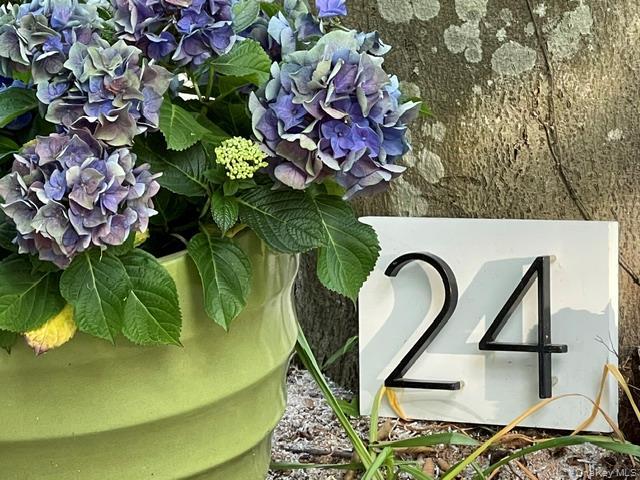 Building Photo - 24 Cliff Way