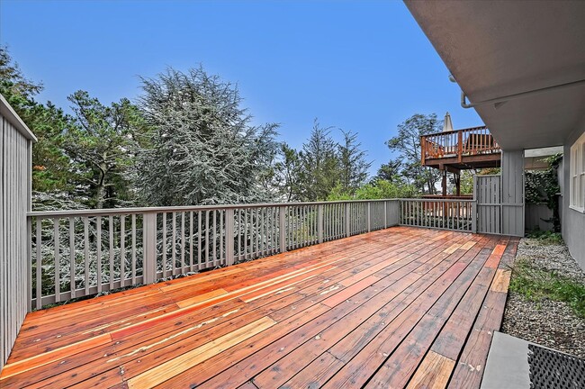 Building Photo - Light Filled Newly Remodeled Home w/ Fanta...