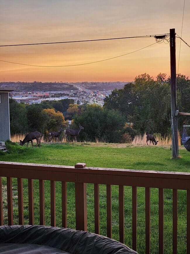 Building Photo - Beautifully updated duplex with parking and a storage shed
