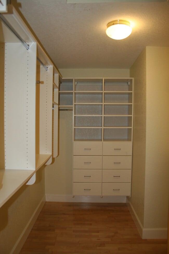 Building Photo - 10317 Walnut Creek Ct