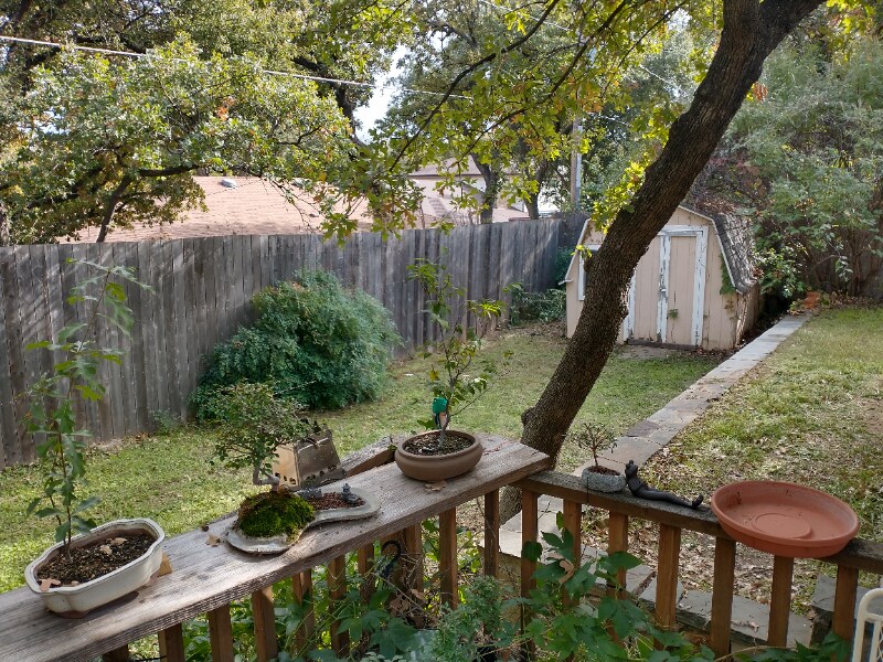 Building Photo - 2717 Jewell Dr