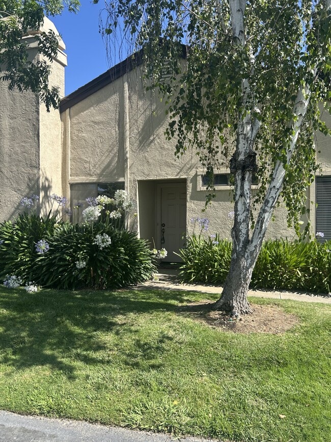 Building Photo - 1129 Cedar Creek Dr