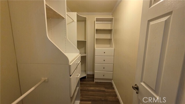 Building Photo - 2561 Gonzaga Ln