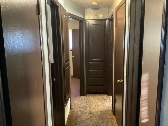 Building Photo - 3 bed, 1  bath, 1 car garage