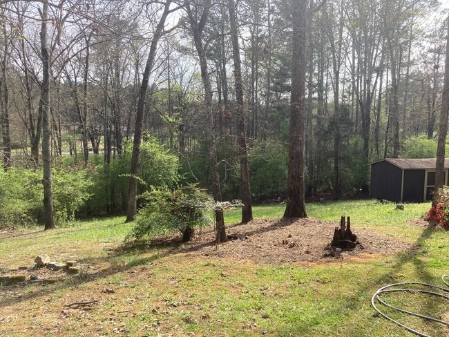 Building Photo - Cozy 3/2 House in East Rome- $1,795