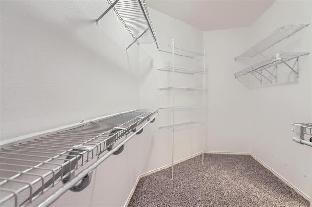 Building Photo - 1105 Shores Blvd