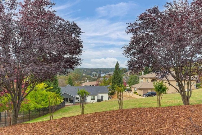 Building Photo - 12859 Austin Forest Cir