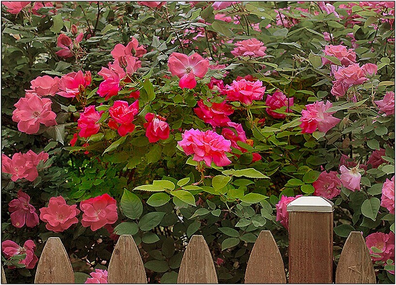 Building Photo - 2102 Windham Ln