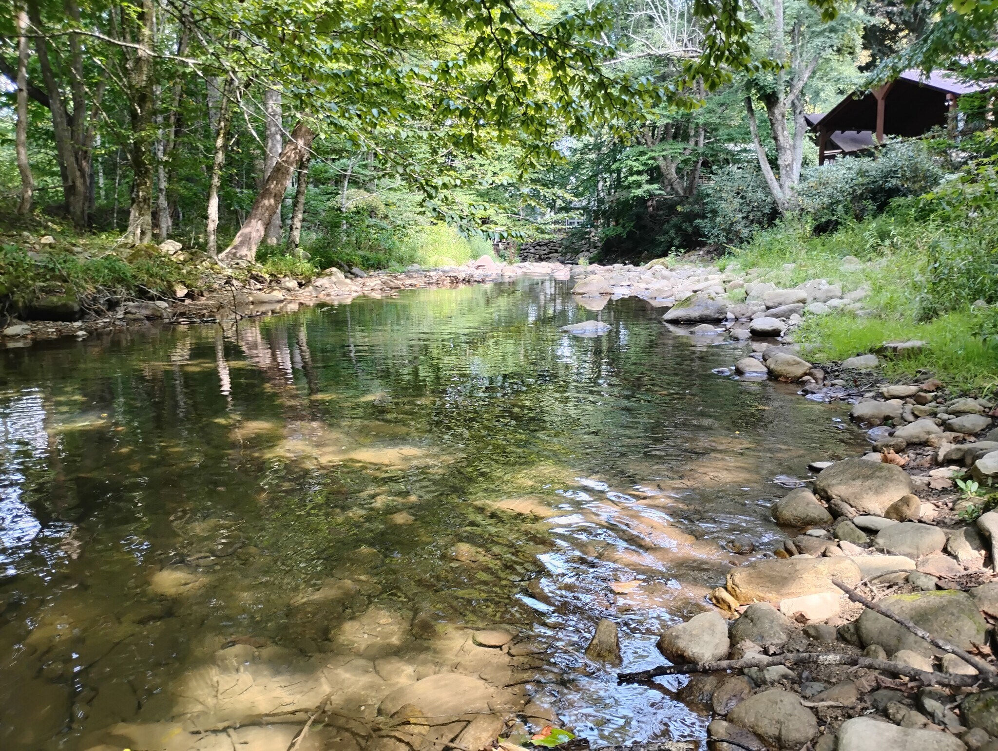 River behind house (with trout) - 270 River Road 2