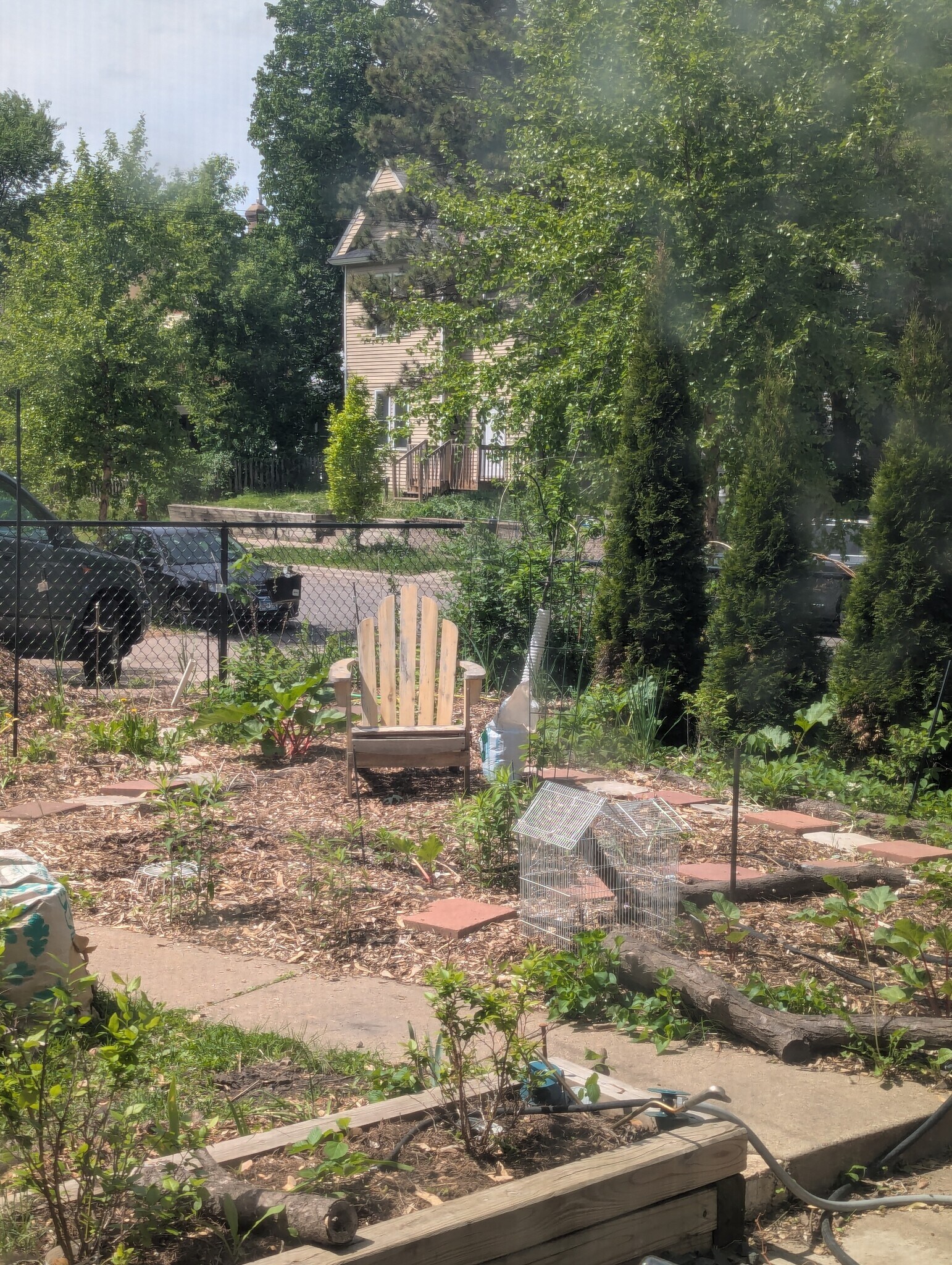 yard - 1727 Girard Ave N
