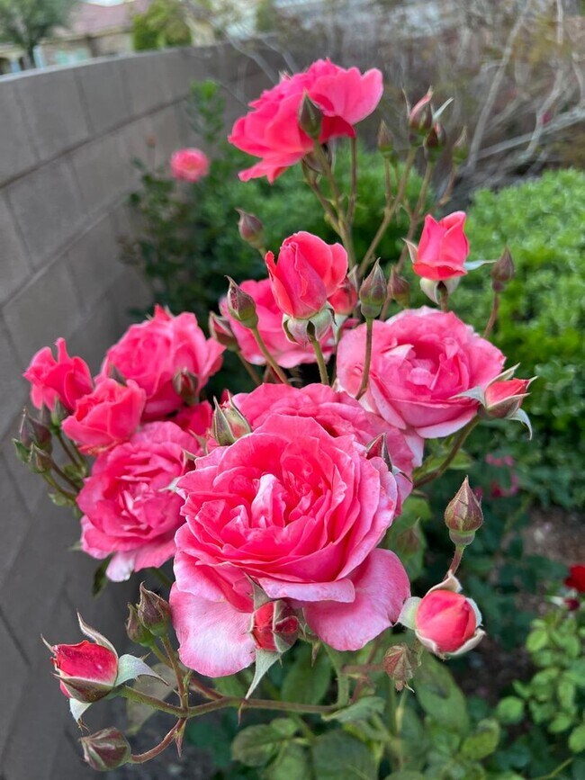 Building Photo - Stunning single-story home in picturesque community!