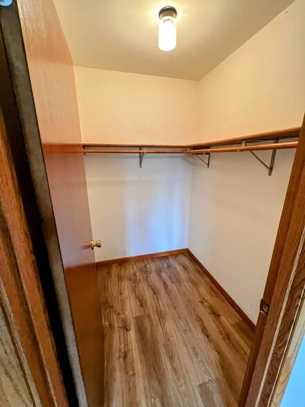 spacious walk-in closet with built-in shelving and lighting - 213 Ash Street