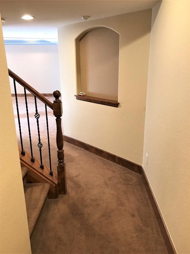 Building Photo - Lovely Basement Apartment in Highlands Ranch